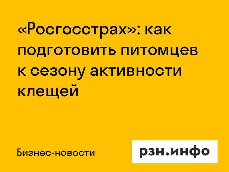 «Росгосстрах»: как подготовить питомцев к сезону активности клещей