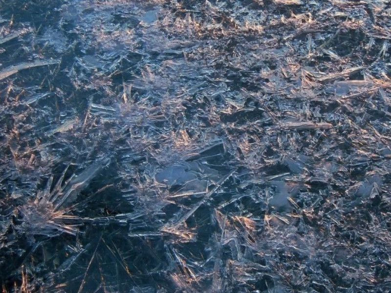 «Росгосстрах»: получить выплату за уплывшую на льдине машину не получится