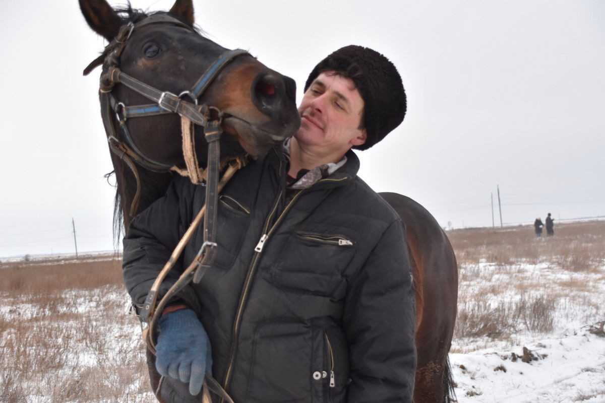 татар информ фотография лошади. саидэмин коневод. коневод профессия фото. саидэмин коневод. скачки пителино.