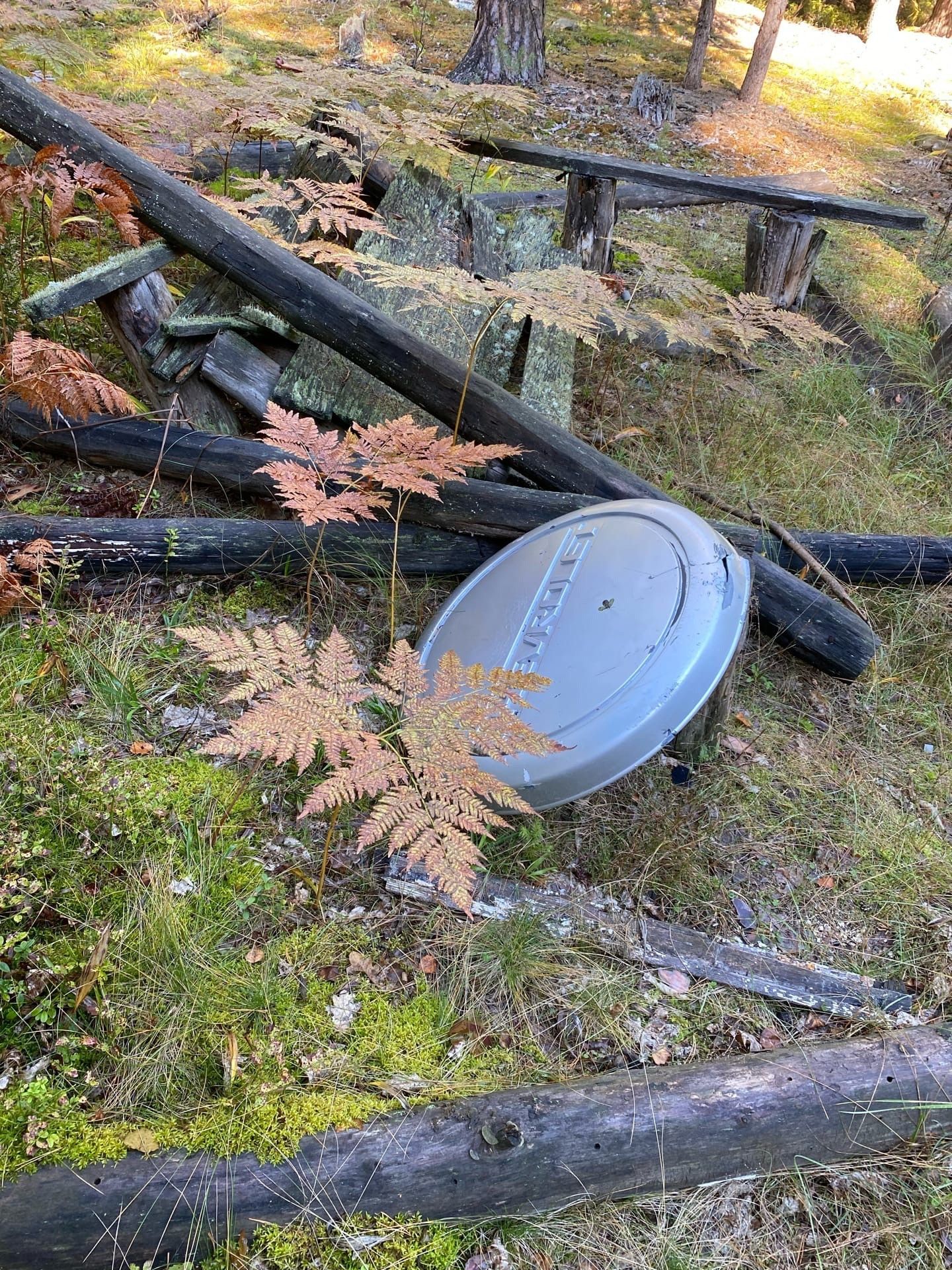 Криуши рязанская область. Квартиры криуши. Деревня криуши ульяновск. Криуши ульяновская область. Квартиры криуши.