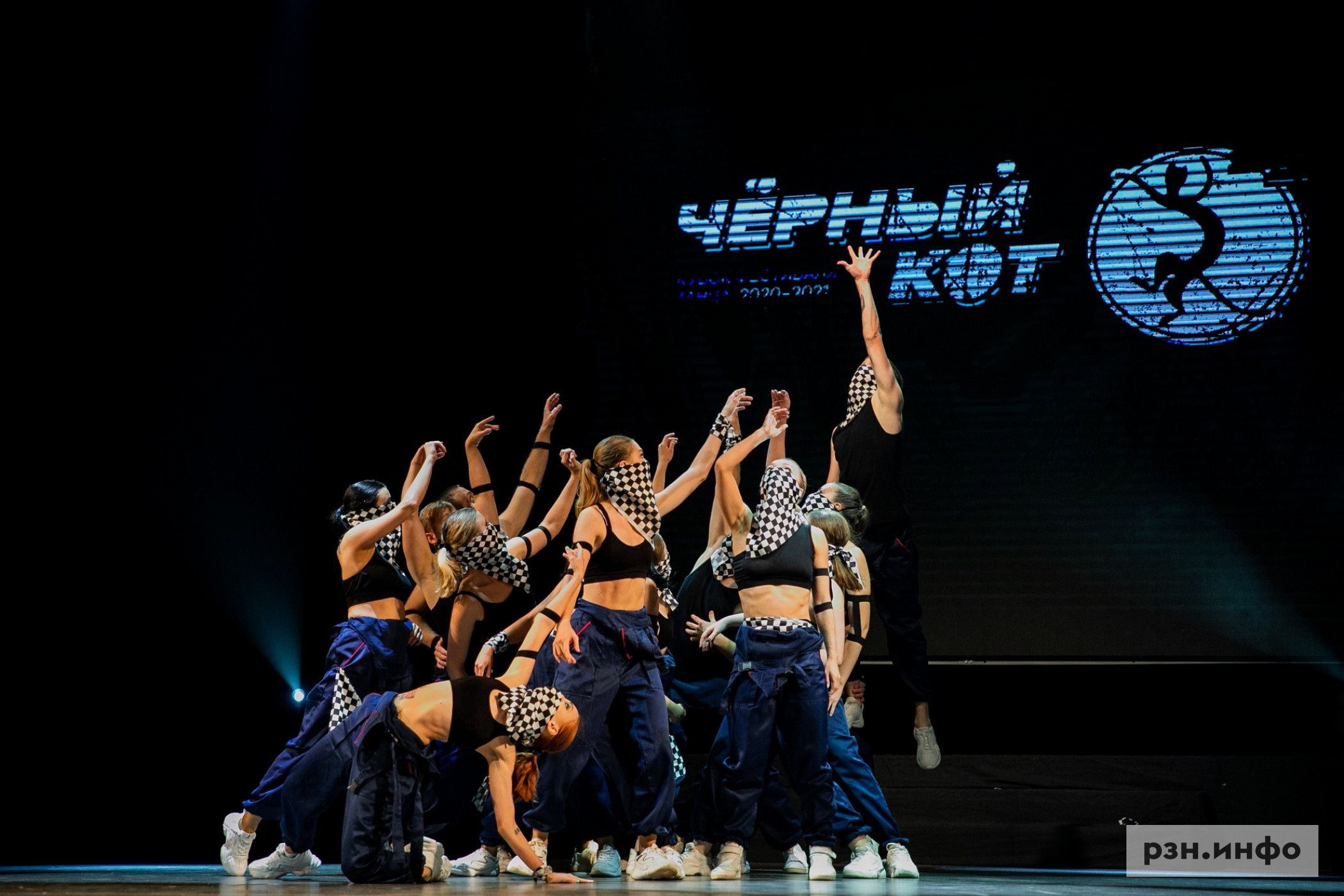 черный кот фестиваль рязань. памятник черному коту в рязани. фестиваль черный кот рязань 2022. черный котенок рязань 2022 попы. черный кот рязань.