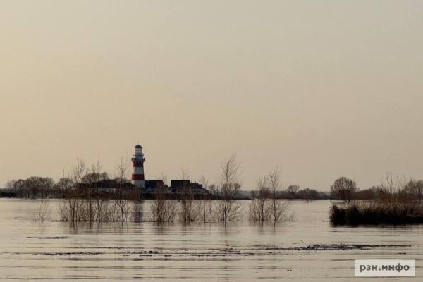 Фоторепортаж разлива Оки под Рязанью