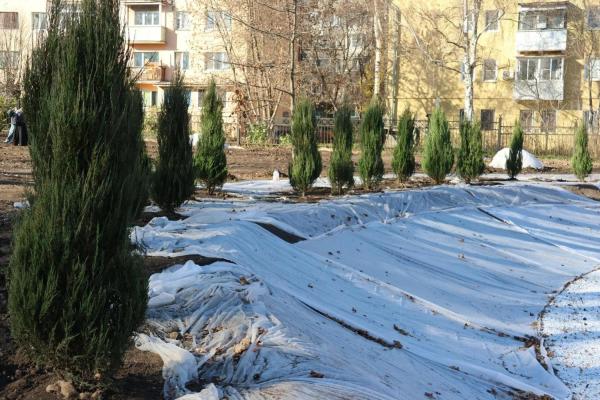 В ЦПКиО высадили более тысячи деревьев и кустарников
