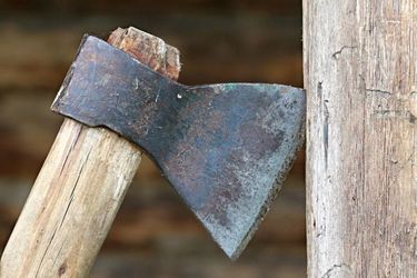 В Красноярском крае пенсионерка зарубила спящего мужа и внуков топором