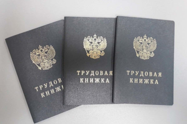 Медведев назвал дату перехода на электронные трудовые книжки Медведев назвал дату перехода на электронные трудовые книжки