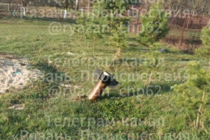 Обломок сбитого беспилотника рухнул в рязанской деревне