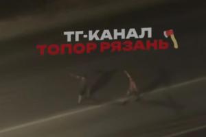 Рязанцы засняли бегающих по проезжей части мужчин