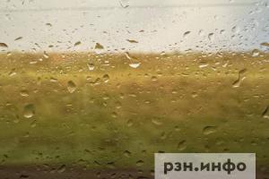 В Рязанской области пройдут дожди и грозы