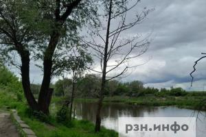 Опубликован прогноз погоды в Рязанской области на 11 августа