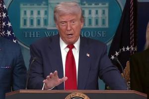 Трамп заявил, что собирается организовать встречу Путина и Зеленского
