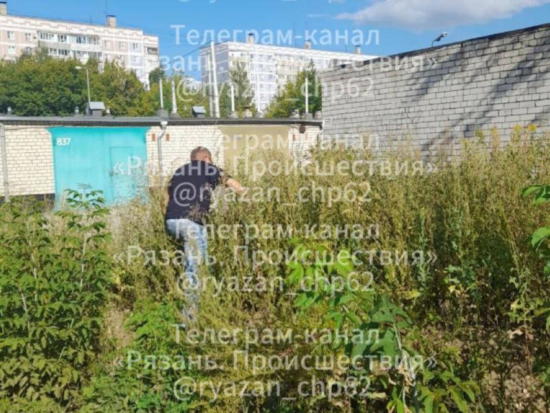 В Канищеве заметили прячущегося в кустах онаниста