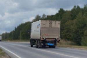В Рязанской области насмерть сбили перебегавшего дорогу лосенка