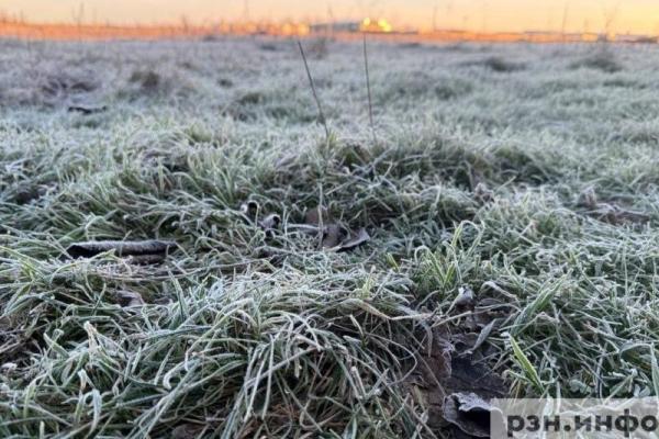 17 ноября в Рязанской области пройдет мокрый снег