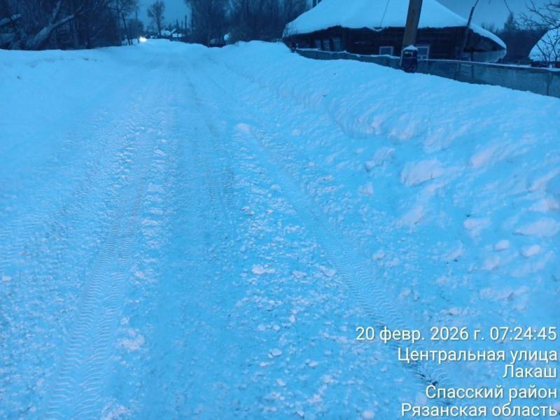 Гостей Окского заповедника предупредили о сложностях с дорогой и электричеством