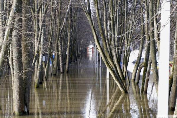 Уровень воды в Оке в черте Рязани превысил метр