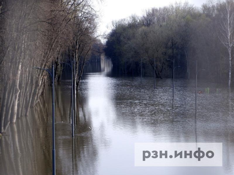 Рязанцам рассказали о ситуации с паводком в регионе