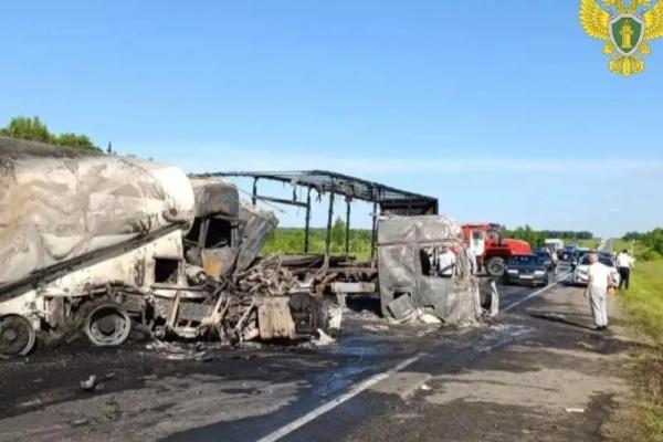 Появились фото с места смертельного ДТП с грузовиками в Рязанской области