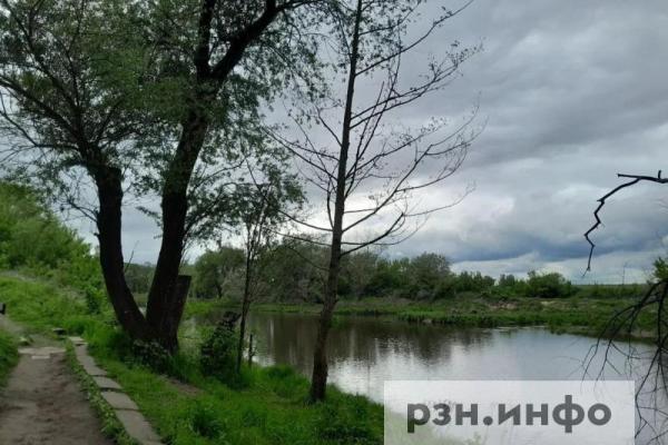 В ночь на субботу в Рязанской области похолодает до +10 градусов