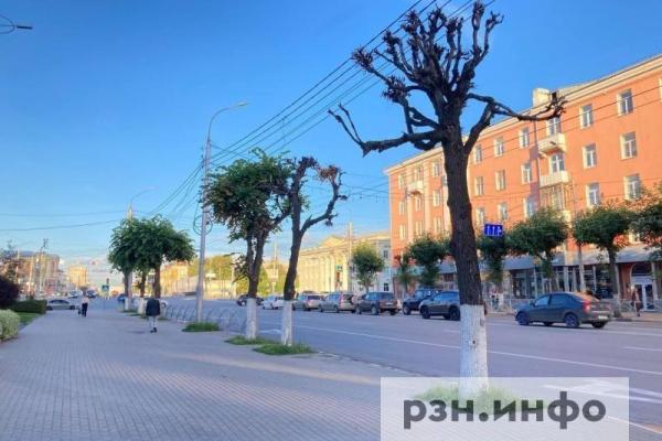 Павел Малков: ситуация с озеленением в Рязани меняется в лучшую сторону