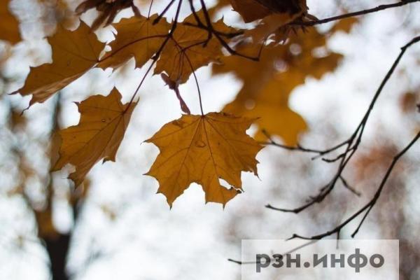 Опубликован прогноз погоды на 28 сентября для Рязанской области