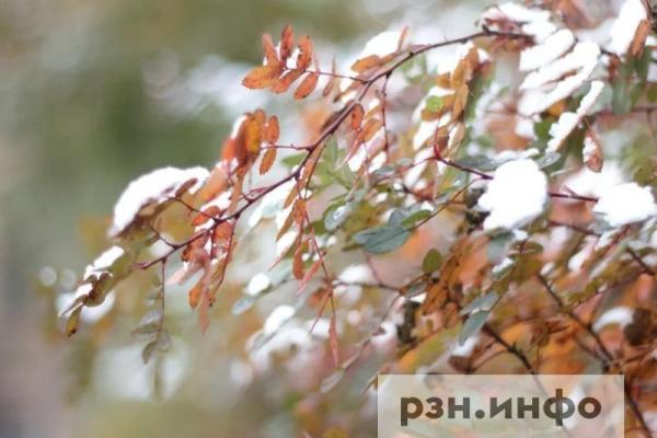 Названы районы Рязанской области, в которых в ночь на 3 октября выпадет первый снег