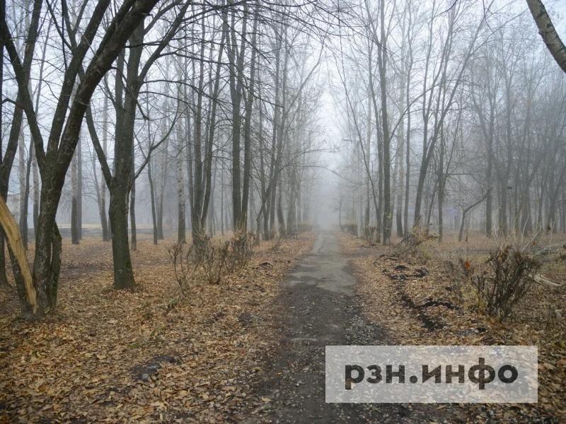 В ночь на 4 октября в Рязанской области похолодает до -6 градусов